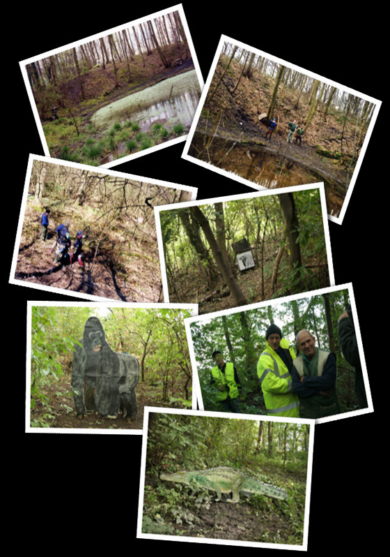 Forest Bowmen